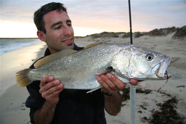 Greens push for more in SA